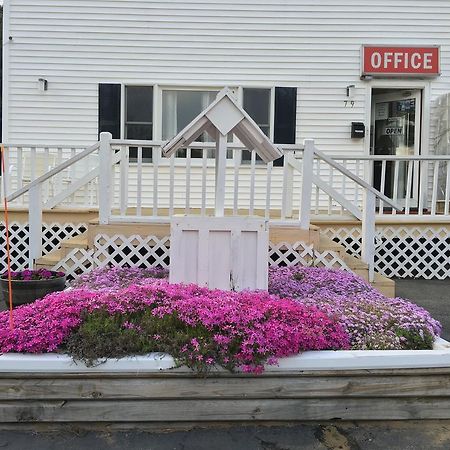 Knotty Pine Motel Salisbury Buitenkant foto